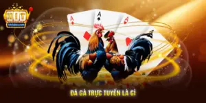 Đá Gà Trực Tuyến Là Gì