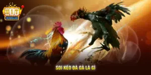 Soi Kèo Đá Gà Là Gì