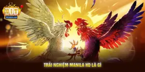 Trải Nghiệm Manila HD Là Gì
